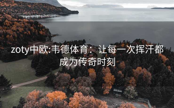 zoty中欧:韦德体育：让每一次挥汗都成为传奇时刻