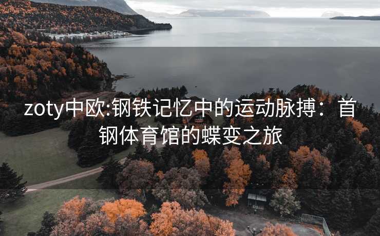 zoty中欧:钢铁记忆中的运动脉搏：首钢体育馆的蝶变之旅