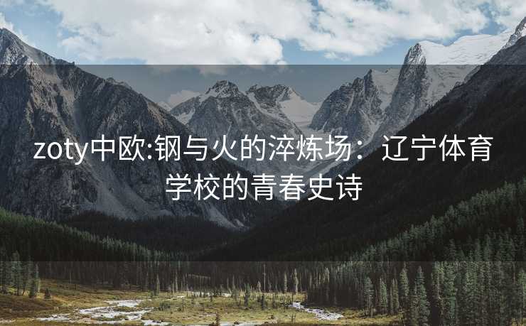 zoty中欧:钢与火的淬炼场：辽宁体育学校的青春史诗