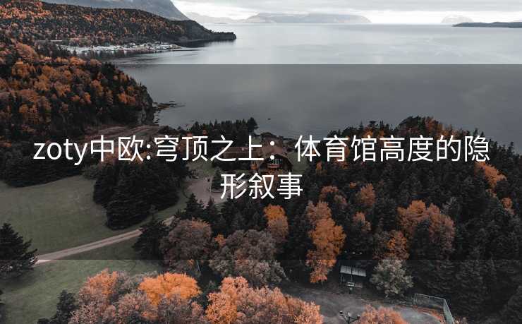 zoty中欧:穹顶之上：体育馆高度的隐形叙事